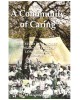 A Community of Caring: The Story of St. Agnes' Anglican Church, Long Branch 1919-2004