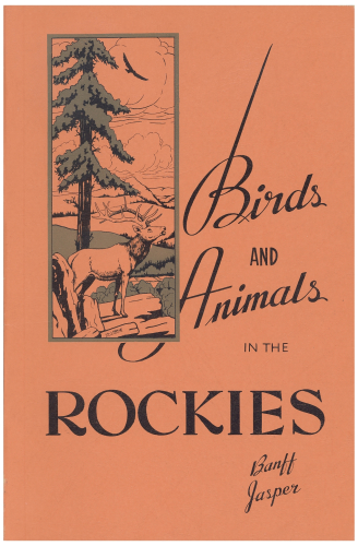 Birds and Animals in the Rockies