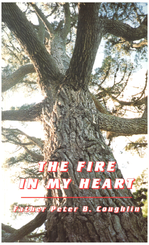 The Fire in My Heart: For Relationship, Holiness, Power, Mission and Love