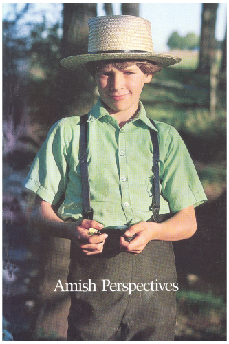 Amish Perspectives