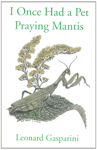 I Once had a Pet Praying Mantis