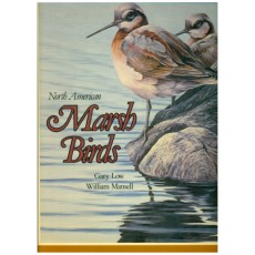 North American Marsh Birds