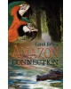 Amazon Connection