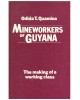 Mineworkers of Guyana: The Making of a Working Class Quamina, Odida T.