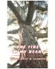 The Fire in My Heart: For Relationship, Holiness, Power, Mission and Love