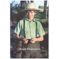 Amish Perspectives