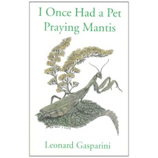 I Once had a Pet Praying Mantis