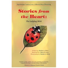 Stories from the Heart: The Ladybug Wish: Experiencing Creation from a Different Way of Perceiving