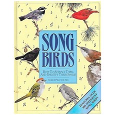 Songbirds: How to Attract Them and Identify Their Songs