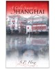 A Cold Season In Shanghai