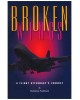 Broken wings: A Flight Attendant's Journey