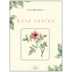 Rosa Canina