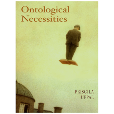 Ontological Necessities